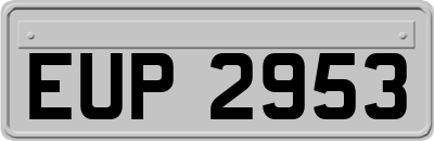 EUP2953
