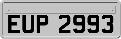 EUP2993