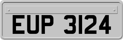 EUP3124