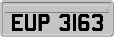 EUP3163