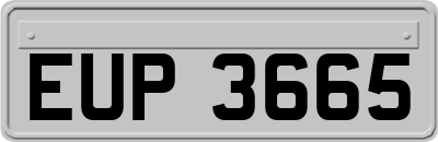 EUP3665