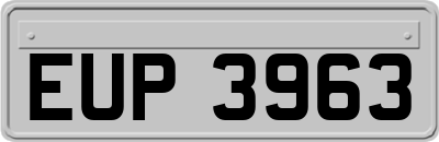 EUP3963
