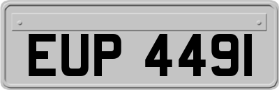EUP4491