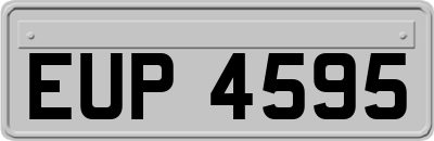 EUP4595