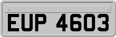 EUP4603