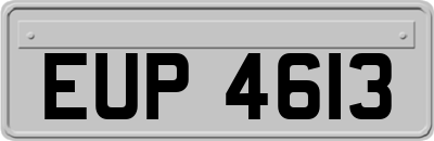 EUP4613