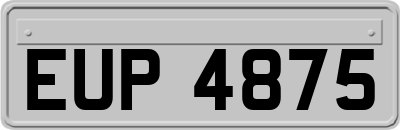 EUP4875