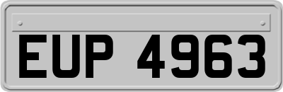 EUP4963