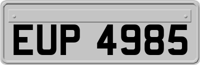 EUP4985