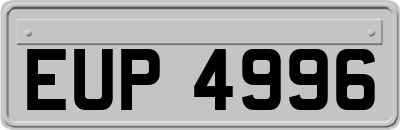 EUP4996