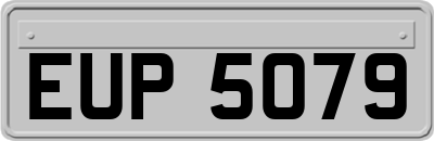 EUP5079