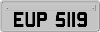 EUP5119
