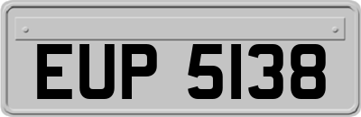 EUP5138