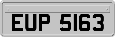 EUP5163