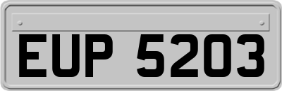 EUP5203