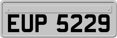 EUP5229