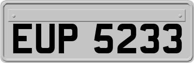 EUP5233