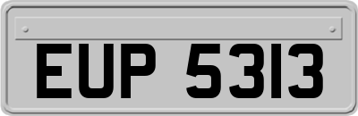 EUP5313