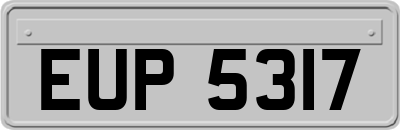 EUP5317