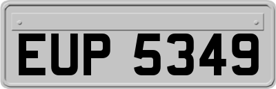 EUP5349