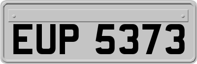 EUP5373