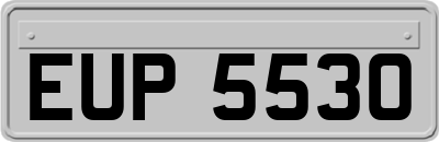 EUP5530
