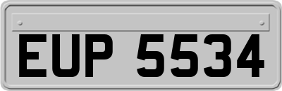 EUP5534