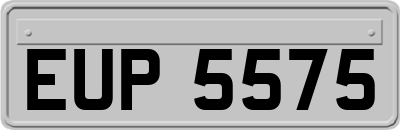 EUP5575