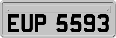 EUP5593