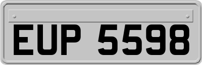 EUP5598