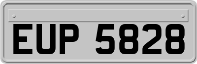 EUP5828