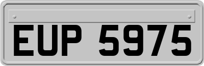 EUP5975