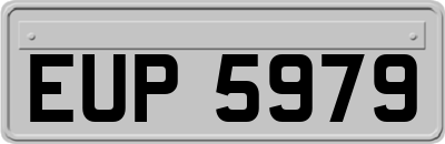EUP5979