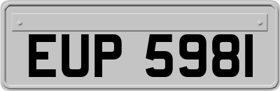 EUP5981