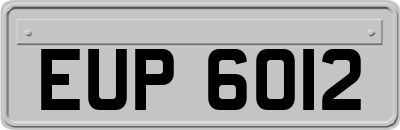 EUP6012