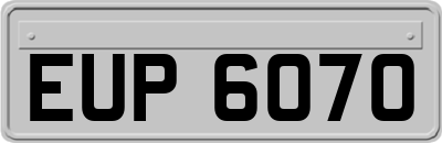 EUP6070