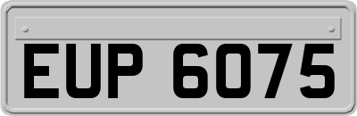 EUP6075
