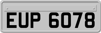 EUP6078