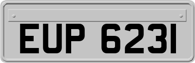 EUP6231