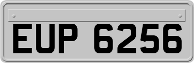 EUP6256