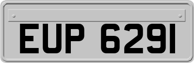 EUP6291