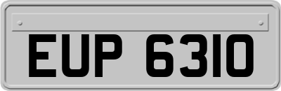 EUP6310