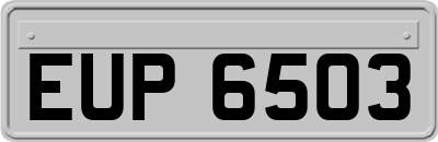 EUP6503