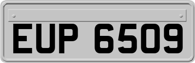 EUP6509