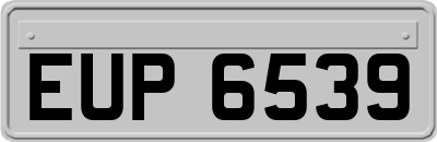 EUP6539