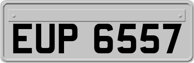 EUP6557
