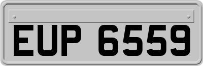 EUP6559