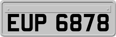 EUP6878