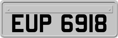 EUP6918