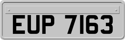 EUP7163